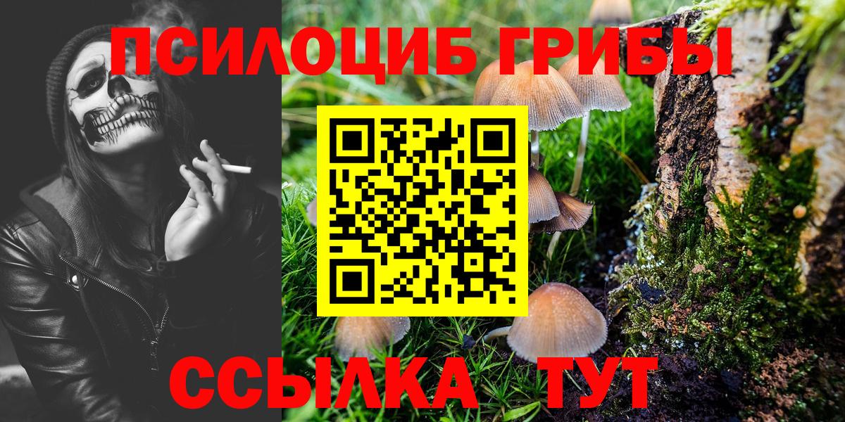 Псилоцибиновые грибы GOLDEN TEACHER  Вход с VPN  Воркута 