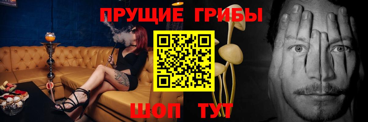 Галлюциногенные грибы Psilocybe Воркута